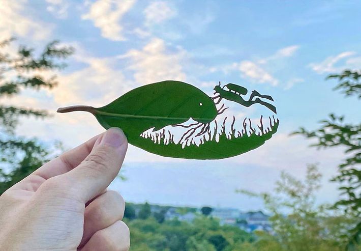 Lito Leaf art
