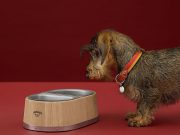 Kutyatálak Rolls Royce-a Hermés